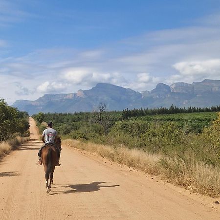 Thandolwami Bushlodge & Spa Hoedspruit Ngoại thất bức ảnh