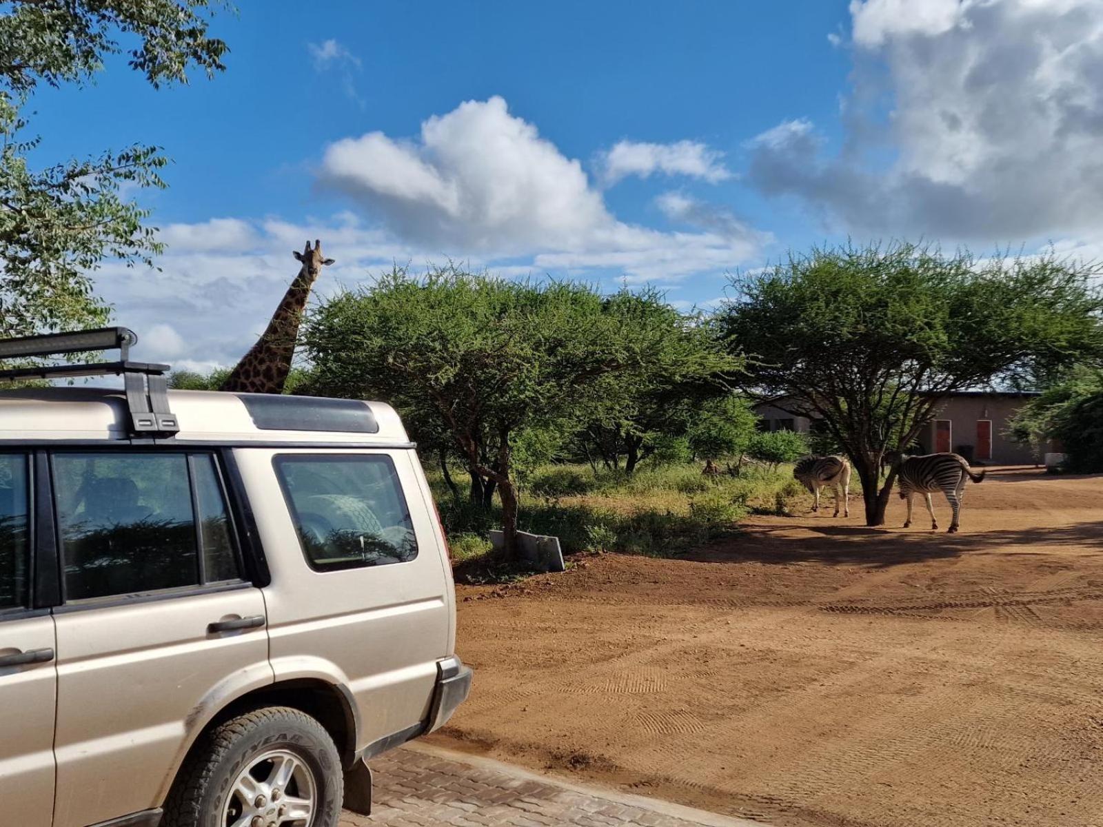 Thandolwami Bushlodge & Spa Hoedspruit Ngoại thất bức ảnh
