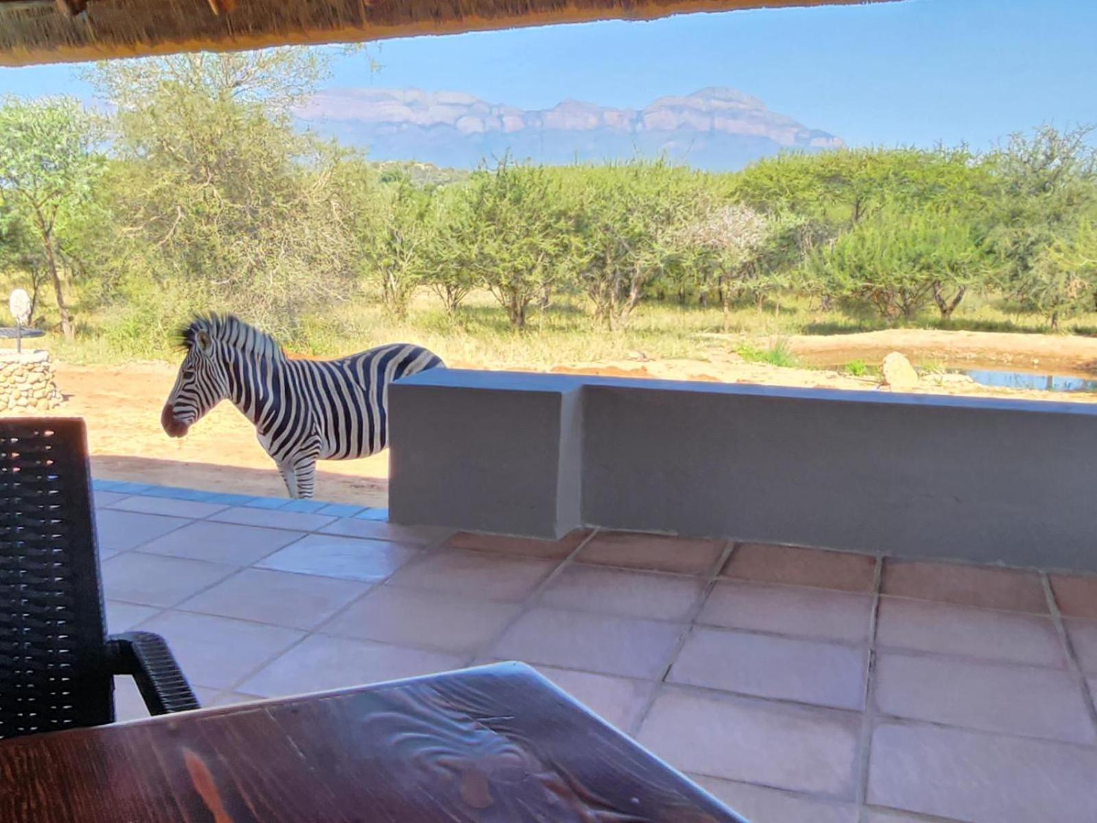 Thandolwami Bushlodge & Spa Hoedspruit Ngoại thất bức ảnh